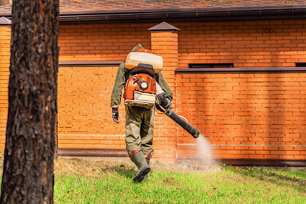 Trusted Bed Bug Control service in Crandon, WI - Nex Pest Control